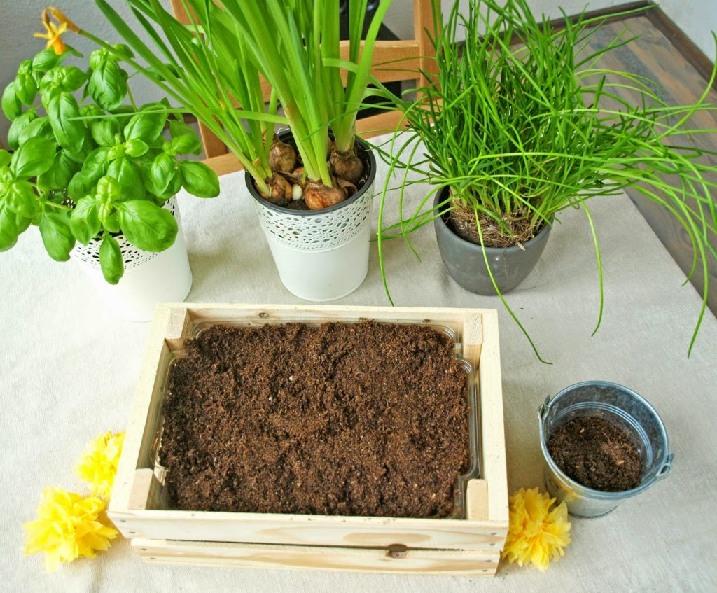 Frühlingsdeko und Kräutergarten Frühlingsdeko und Kräutergarten
