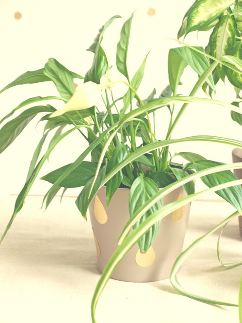 DIY Blumentöpfe gestalten DIY Blumentöpfe gestalten