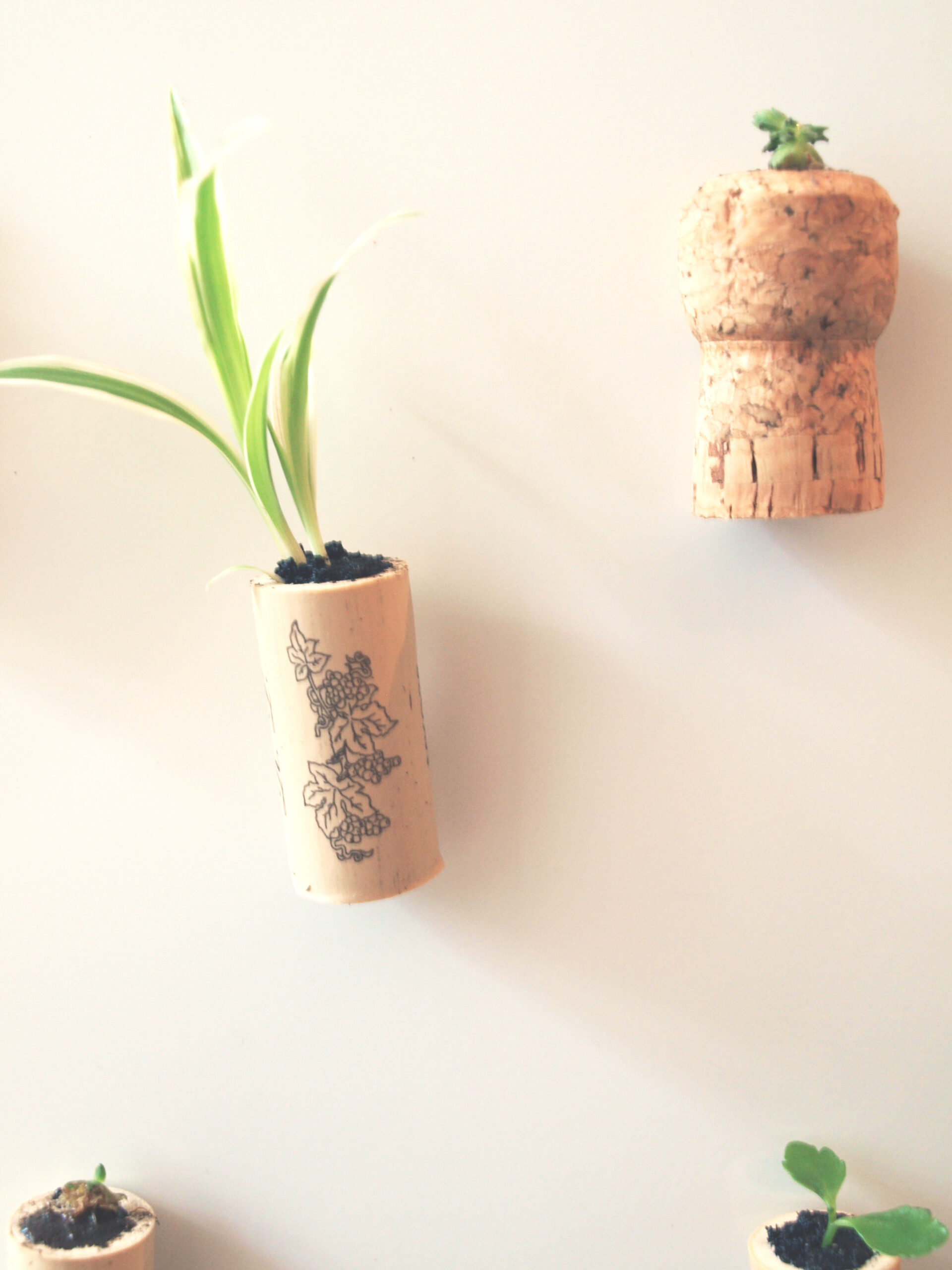 DIY Kork-Magnete