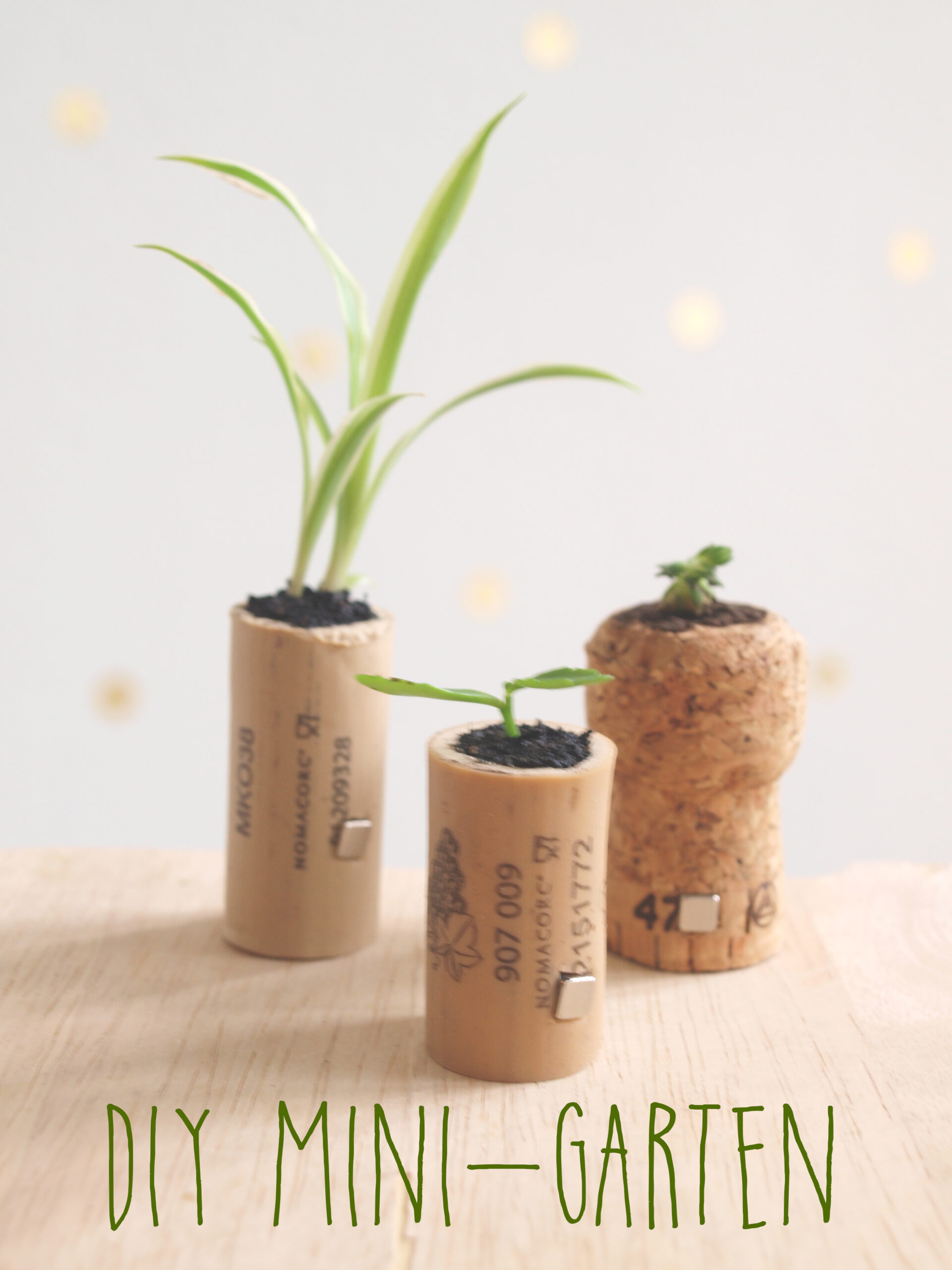 DIY Minigarten
