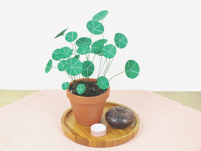DIY Pflanze aus Papier Chinesischer Geldbaum